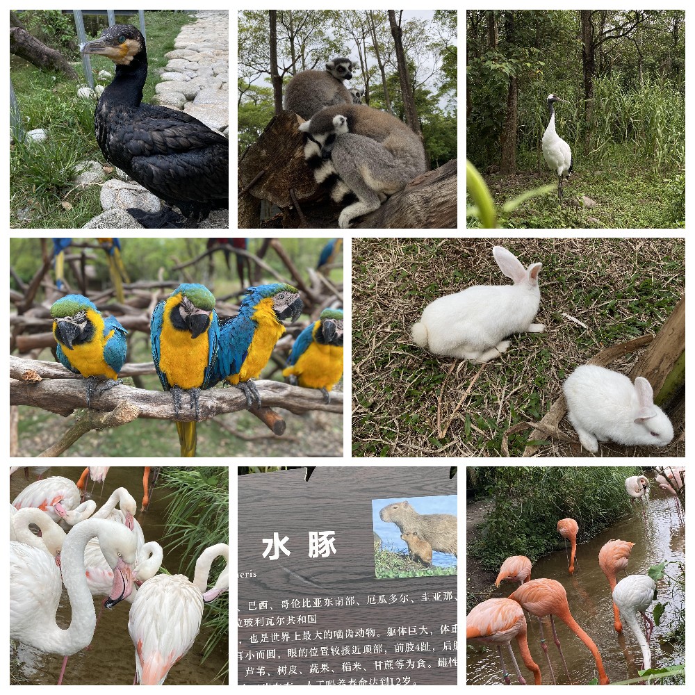 厚積薄發(fā)，蓄力前行：大手牽小手，共圓實(shí)佳夢